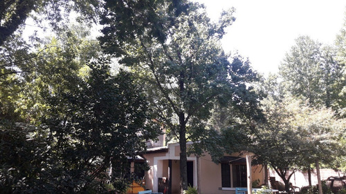 Imagen 5 de 5 de Dueño Vende 1000 M2
