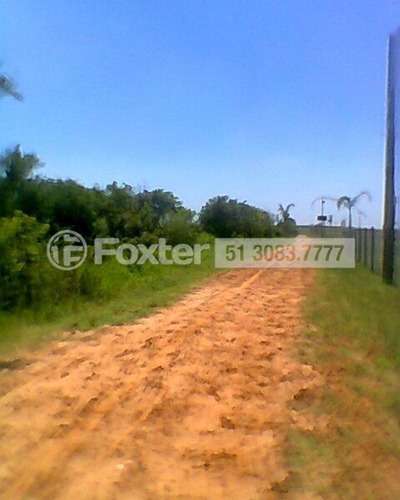 Imagem 8 de 12 de Terreno, 66000 M², Harmonia - 173430
