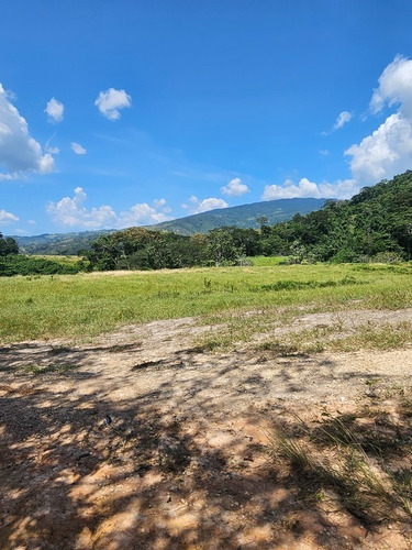 Sky Group Elite Vende Finca Agropecuaria Triple P Ubicada En Nirgua Sector Temerla Edo Yaracuy Consta De 49.7324mtrs2