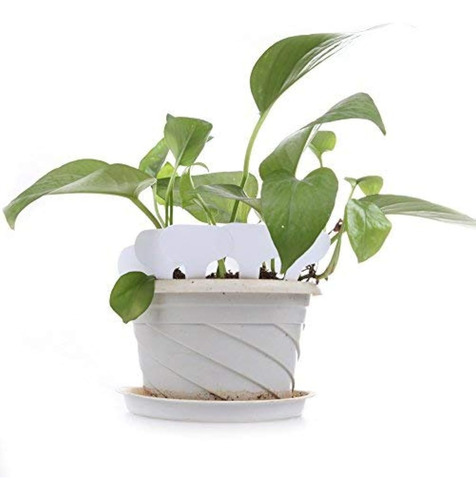 Marcador Para Plantas De Estaca Forma T Resistente A Rayo Uv