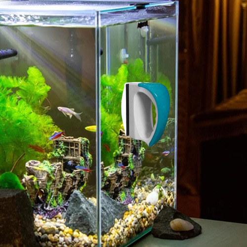 2 Mini Cepillos Magnéticos Para Peceras De Acuario