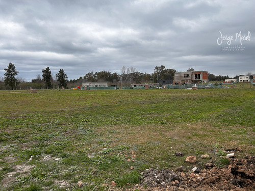 Lote Interno #200-300 - Pilar Del Este - Santa Elisa - 465m2 #id 18969