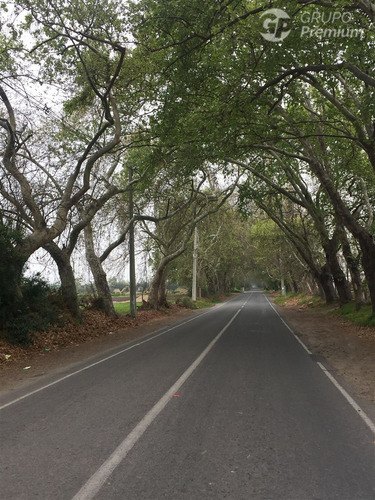 Parcela En Venta En Oasis La Campana Ocoa Hijuelas