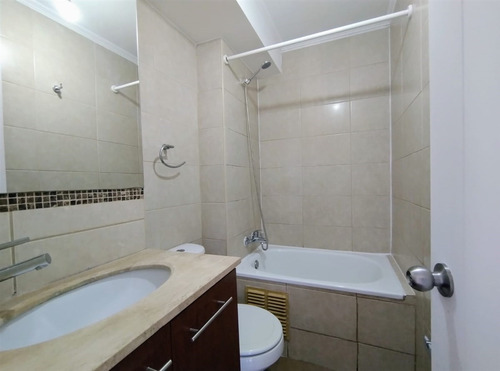 Ideal Inversión En Carmen Con Argomedo