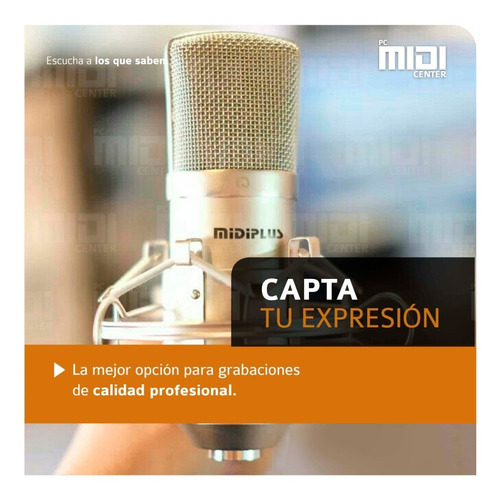 Imagen 4 de 10 de Micrófono Condenser Profesional Midiplus Mc1 Cardioide