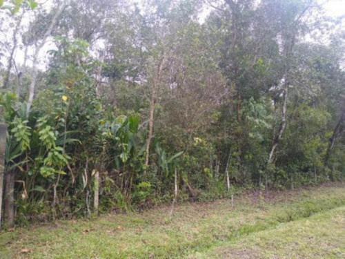 Imagem 16 de 20 de Chácara Em Itanhaém, No Balneário Gaivota, Com 5.085 M² De Área Total E Com Churrasqueira, Árvores E Vaga Para 08 Automóveis Ref: 8855/ac
