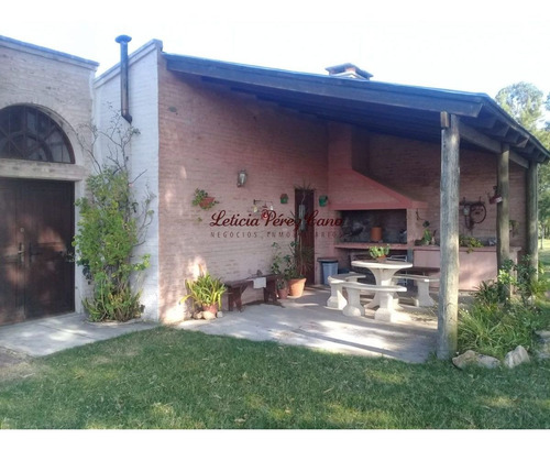 Imagen 6 de 17 de Venta Chacra De 5 Hectáreas Camino Los Ceibos