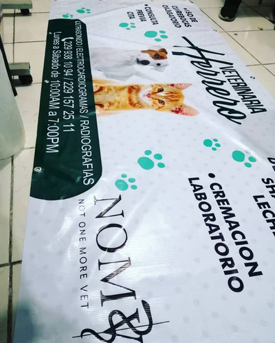 Lona Impresa 2.20 X 2.20 Mts Impresión Hd