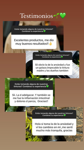 Tintura Madre Para Ansiedad. Ansiolítico Natural 60ml.