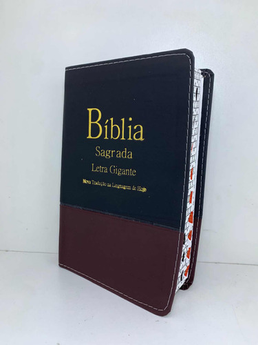 Bíblia Sagrada Na Linguagem De Hoje Ntlh Letra Gigante Bicolor Masculina Com Índice E Capa 