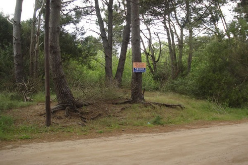 Imagen 3 de 3 de Lote En Venta En Las Gaviotas 600m2 Lote Sobre Elevado