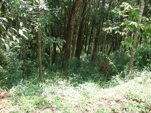 Imagem 8 de 12 de Lotes Em Condomínio Para Comprar No Green Park Em Nova Lima/mg - 2285