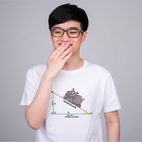 Camiseta Personalizada Hipopotenusa - Matemática - Divertida