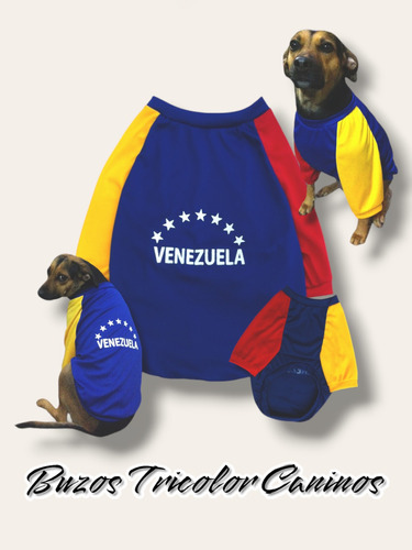 Ropa Para Mascotas. Buzos. Tallas S /  M.