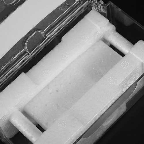 Caja De Reloj Transparente De 1 Pieza, Caja De Almacenamient
