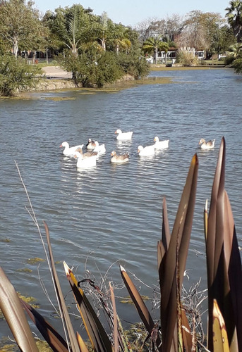 Imagen 3 de 3 de Lote Frente Al Lago En Country 2 Lagunas