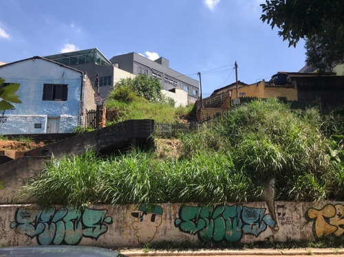 Terreno À Venda, 204 M² Por R$ 2.000.000,00 - Casa Verde (zona Norte) - São Paulo/sp - Te0406