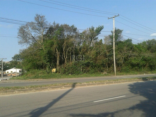 Terreno Em Lomba Do Pinheiro - Pj2563