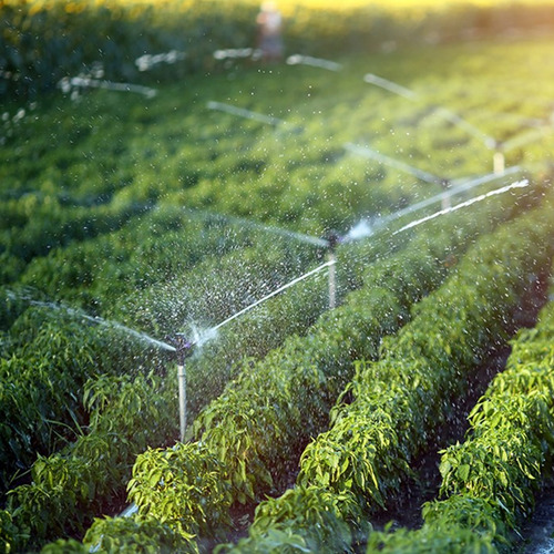 Aspersor Agricola Implebras Irrigação Im22 Rosca 1/2 Kit 3un