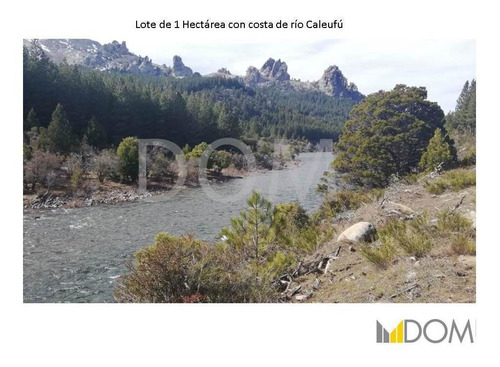 Imagen 13 de 13 de Impresionante Lote De 1ha Con Costa De Río