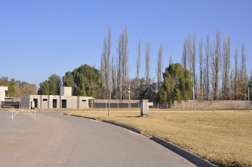 Venta De Lotes