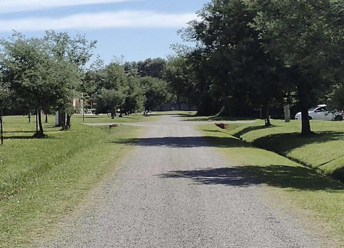 Imagen 5 de 5 de Terreno - Haras Del Sol