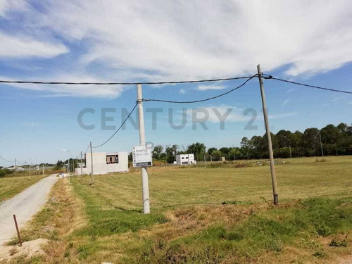 Imagen 23 de 30 de 147 Y 486 Lote En Venta, En Fincas Gorina.-