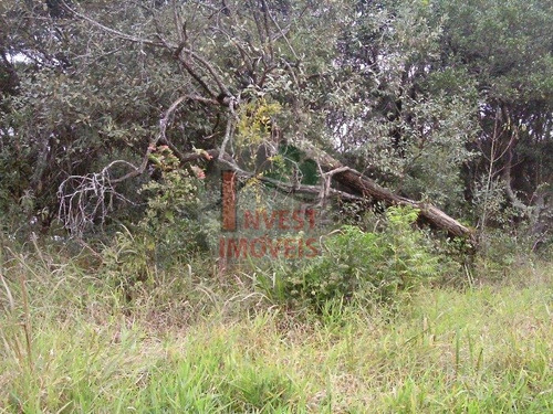 Imagem 3 de 7 de Terreno Em Condominio - Ref: 2733 - V-2733