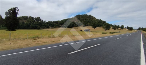 Parcela - 5.000 M2 Cada Una - Cascadas - Puerto Octay