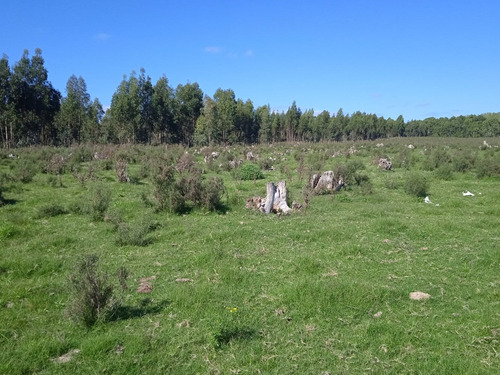 Campo De 20 Has A 88 Km De Montevideo