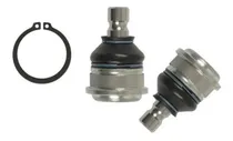 Comprar Muñones Inferiores Kia Picanto 1.1