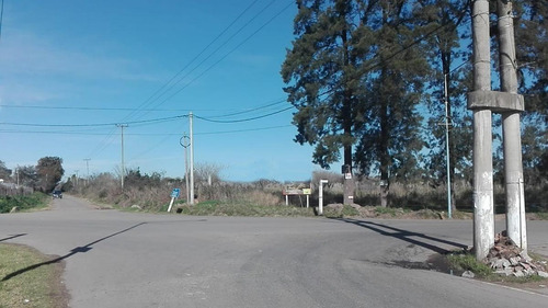 Imagen 2 de 7 de Terreno De 9 Hectáreas En Loma Verde, Escobar.