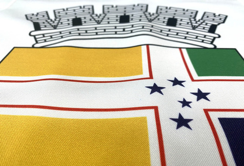 Bandeira De Betim Mg 2,5 Panos (1,60x1,13)
