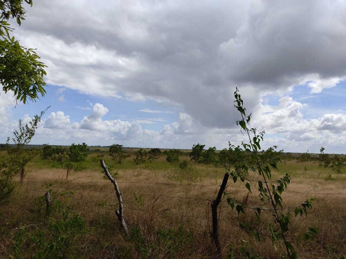 Se Vende Finca En Aribi, Via Al Sur De Monagas Ve02-554vs-dced