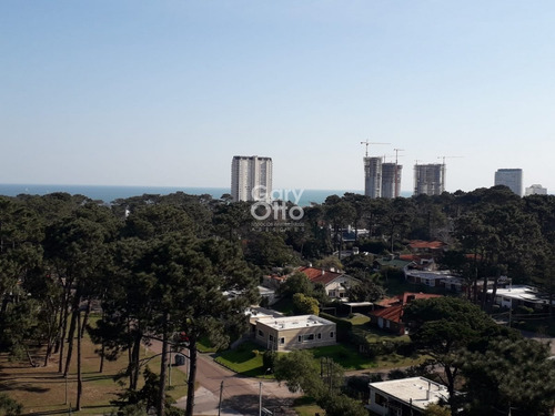 Imagen 4 de 21 de Apartamento En Zona De Roosevelt