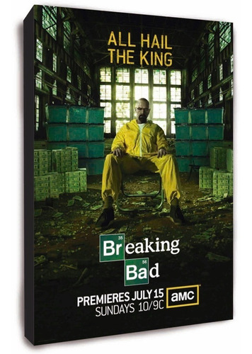 Serie Breaking Bad Cuadro Para Decorar. Todas Las Series