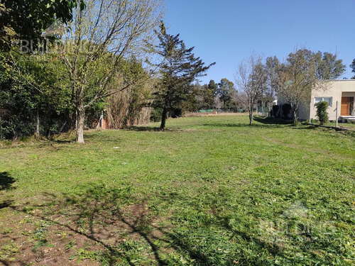 Imagen 3 de 6 de Terreno - Arana