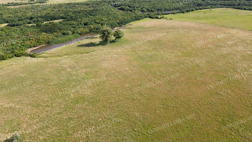 Campo Con Casa En Venta 65 Hectáreas