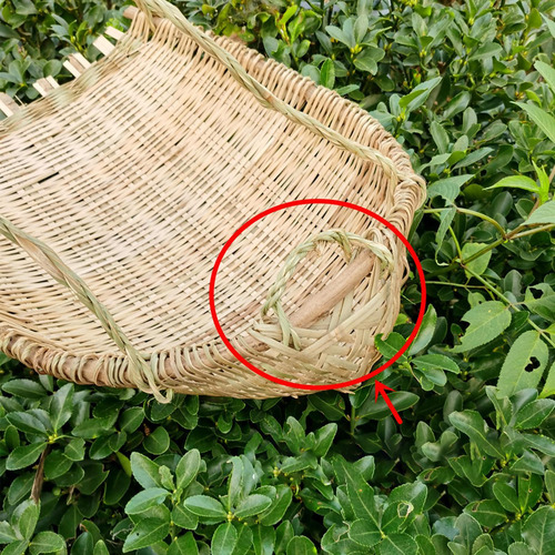 Bambúa De Bambú El Polvo De Basura De La Basura Sin Mango