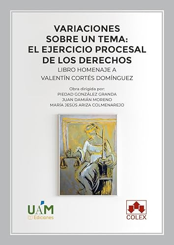 Variaciones Sobre Un Tema El Ejercicio Procesal De Los Derec