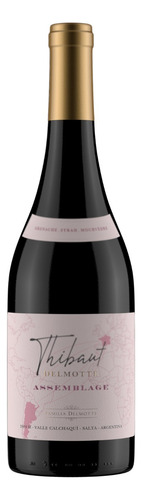 Vino Thibaut Delmotte Assemblage Garnacha-syrah-mourve 750cc
