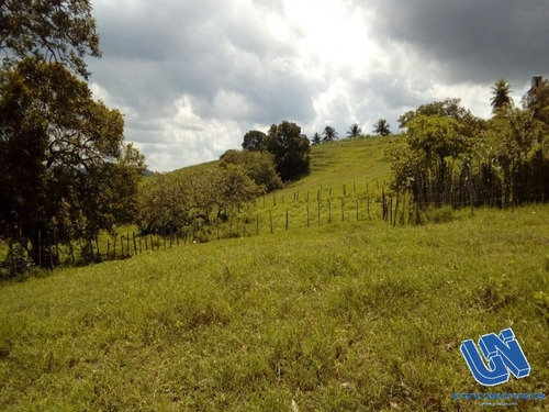 Imagem 9 de 14 de Fazenda Com 118 Tarefas Em São Sebastião Do Passé - Bahia - Afd046 - 70528054