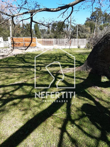 Venta Terreno De 1000 M2 En Colonia Nicolich