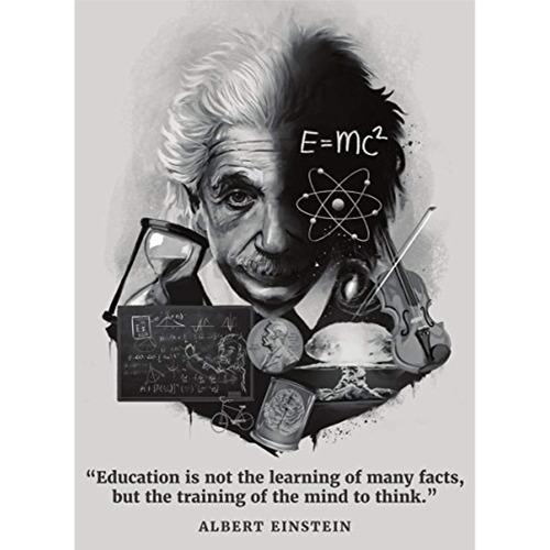 Brand: Palace Learning Albert Einstein Poster