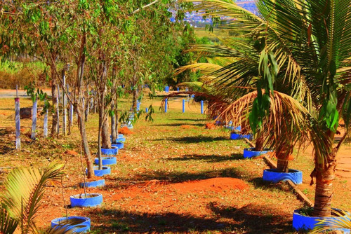 Imagem 2 de 15 de Chácara Para Venda Em Ra Xiv São Sebastião, Zona Rural - M0341_1-1629809