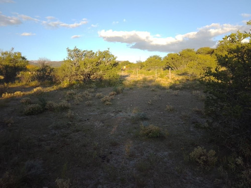 Imagen 24 de 28 de T056pa Amplios Terrenos De 1.350 M2 En Panaholma, A 300 Mts Del Río