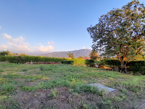 Se Vende Lote Condominio Campestre La Bella Calarcá Quindío