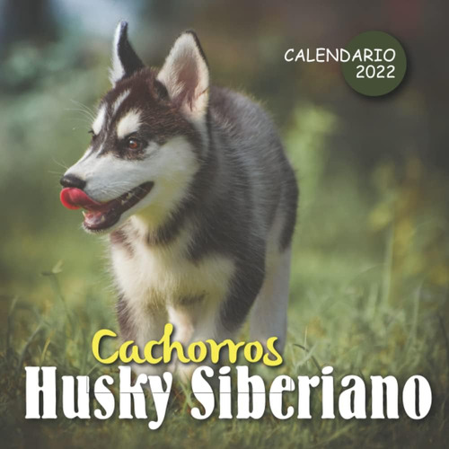 Libro: Cachorros Husky Siberiano Calendario 2022: Calendario