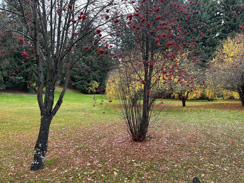 Terreno En Valle Escondido