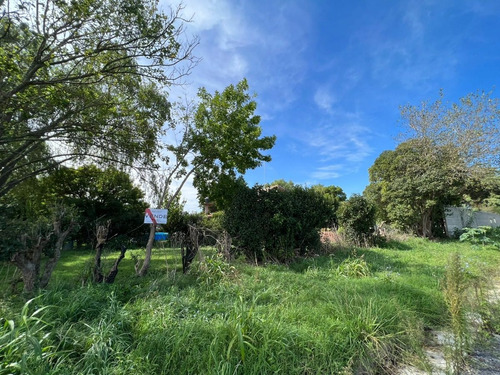 Imagen 5 de 10 de Lote En Venta, Calle 480 E/135 Y 135 Bis, Gorina